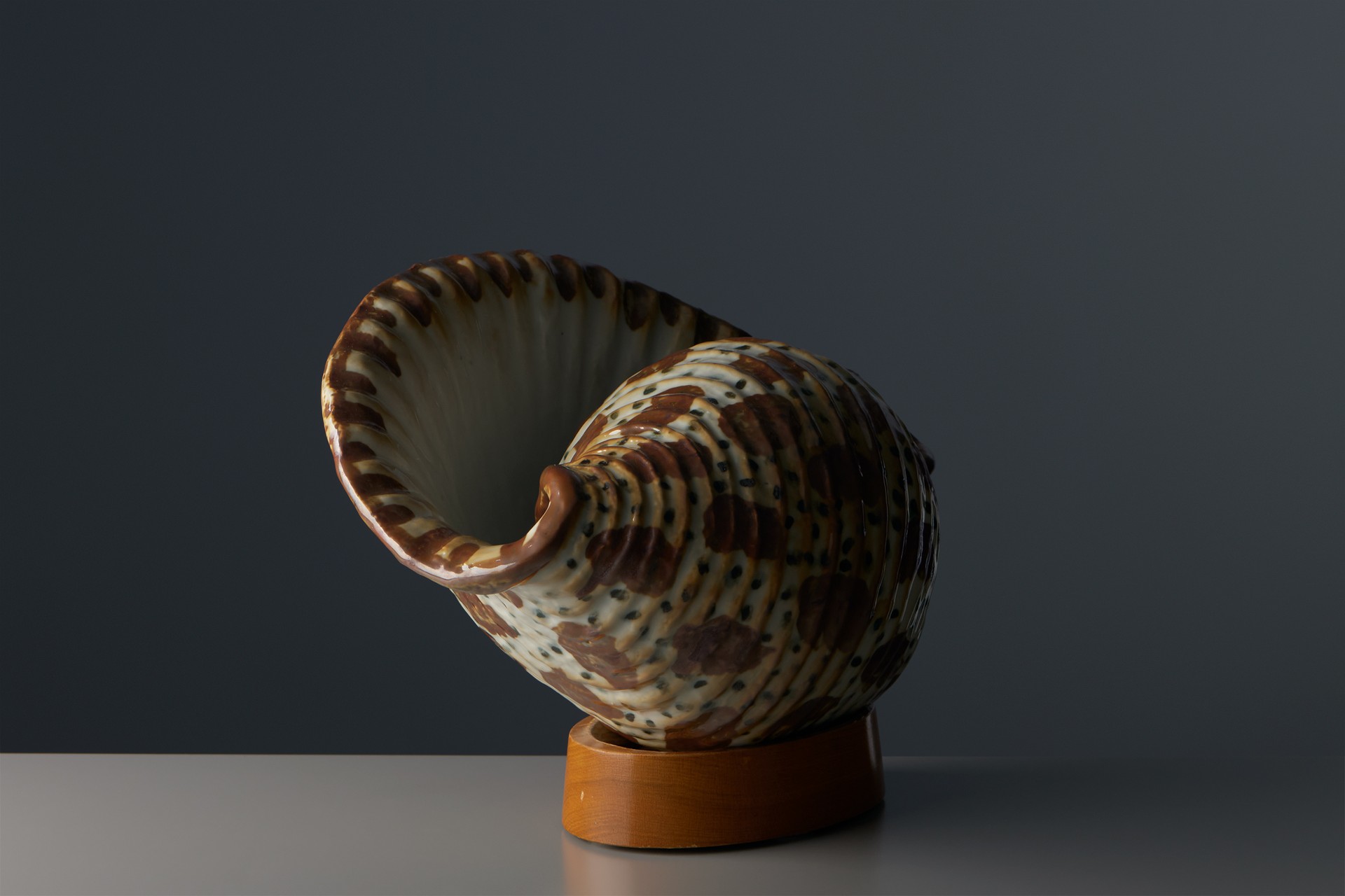 Shell Sculpture image 2