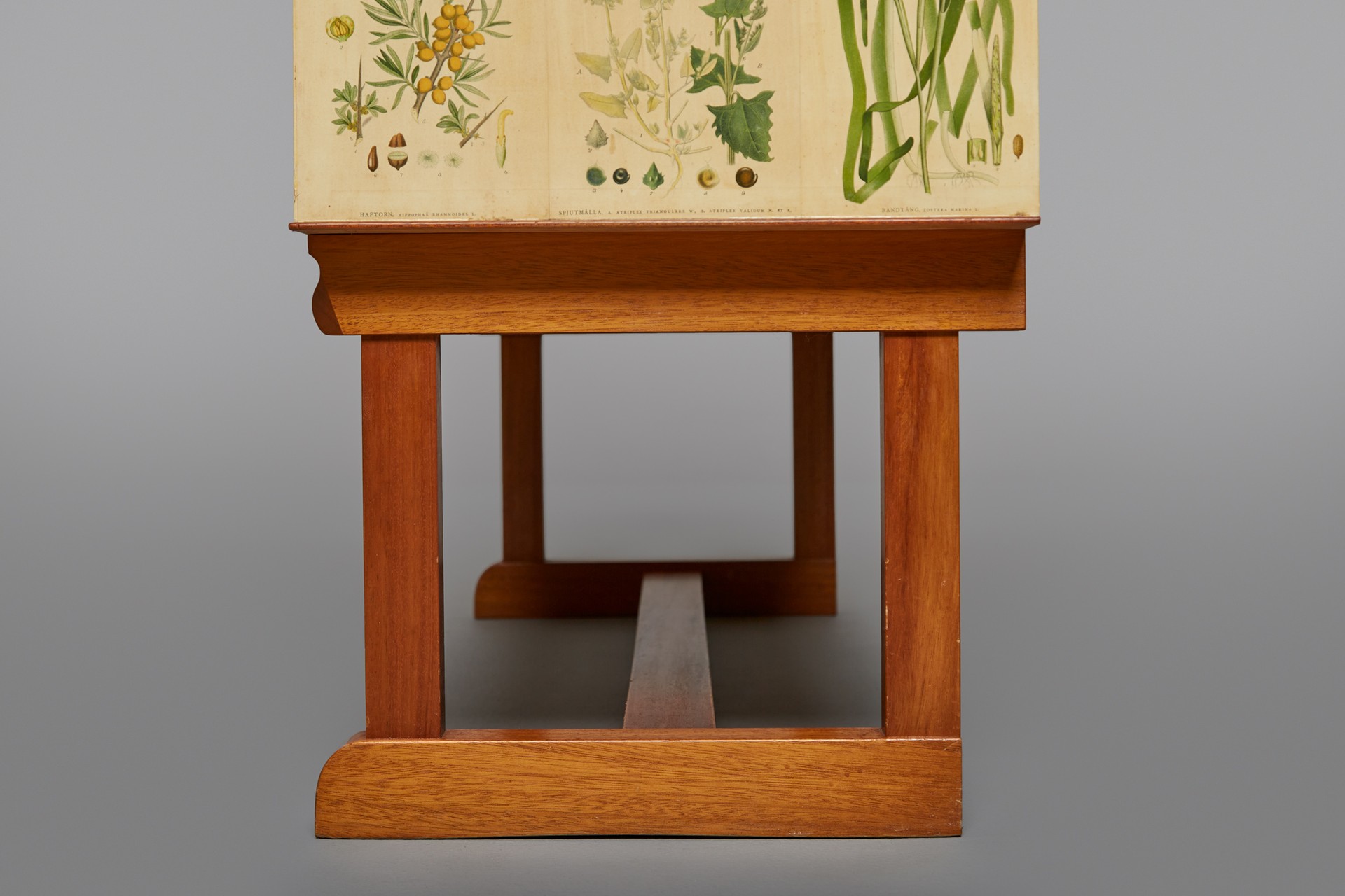 "Flora" Cabinet image 5