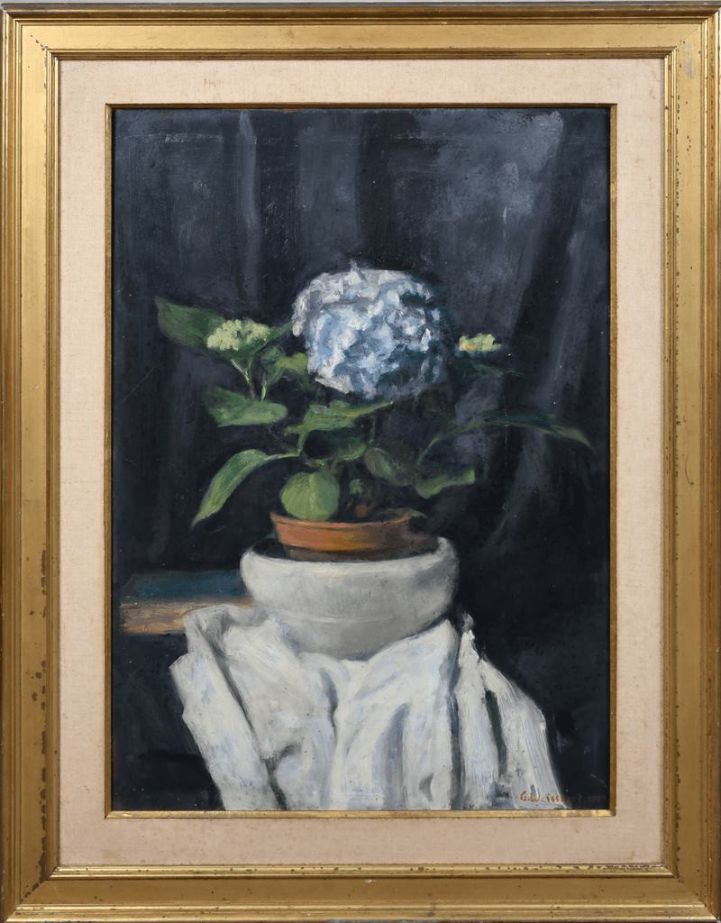 Blue Hortensia