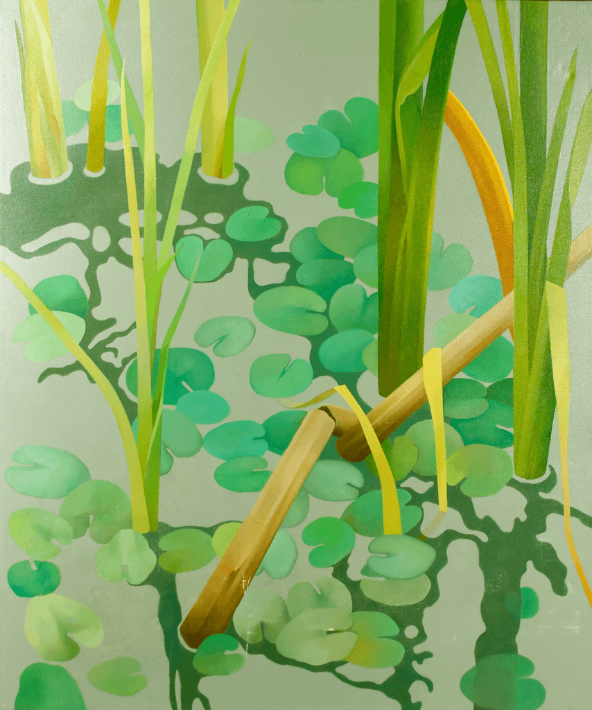 Lily Pond