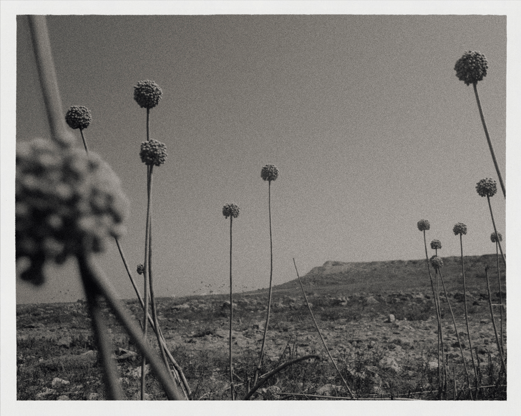 Untitled work #4