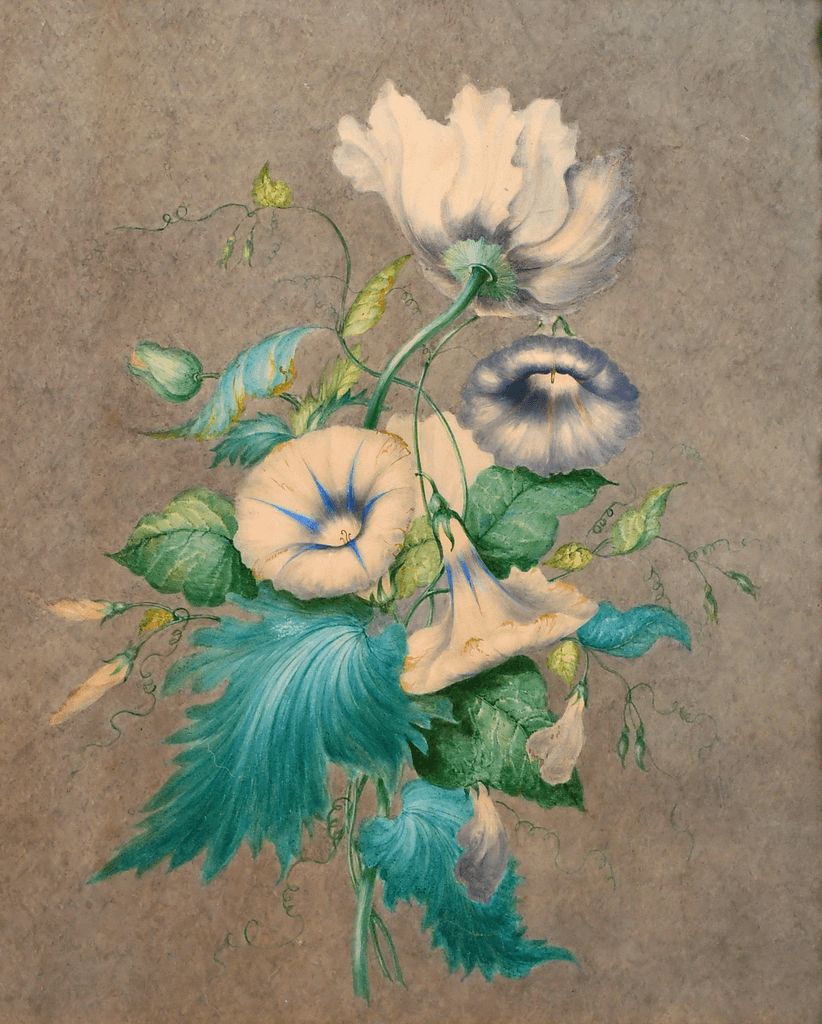 Morning Glories and Poppies