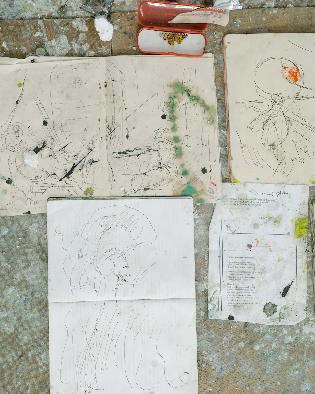 A 'painted lady' butterfly found by Richard on his doorstep and a scribble from Velasquez (Las Hilanderes) and from Van Gogh ('The Sower')