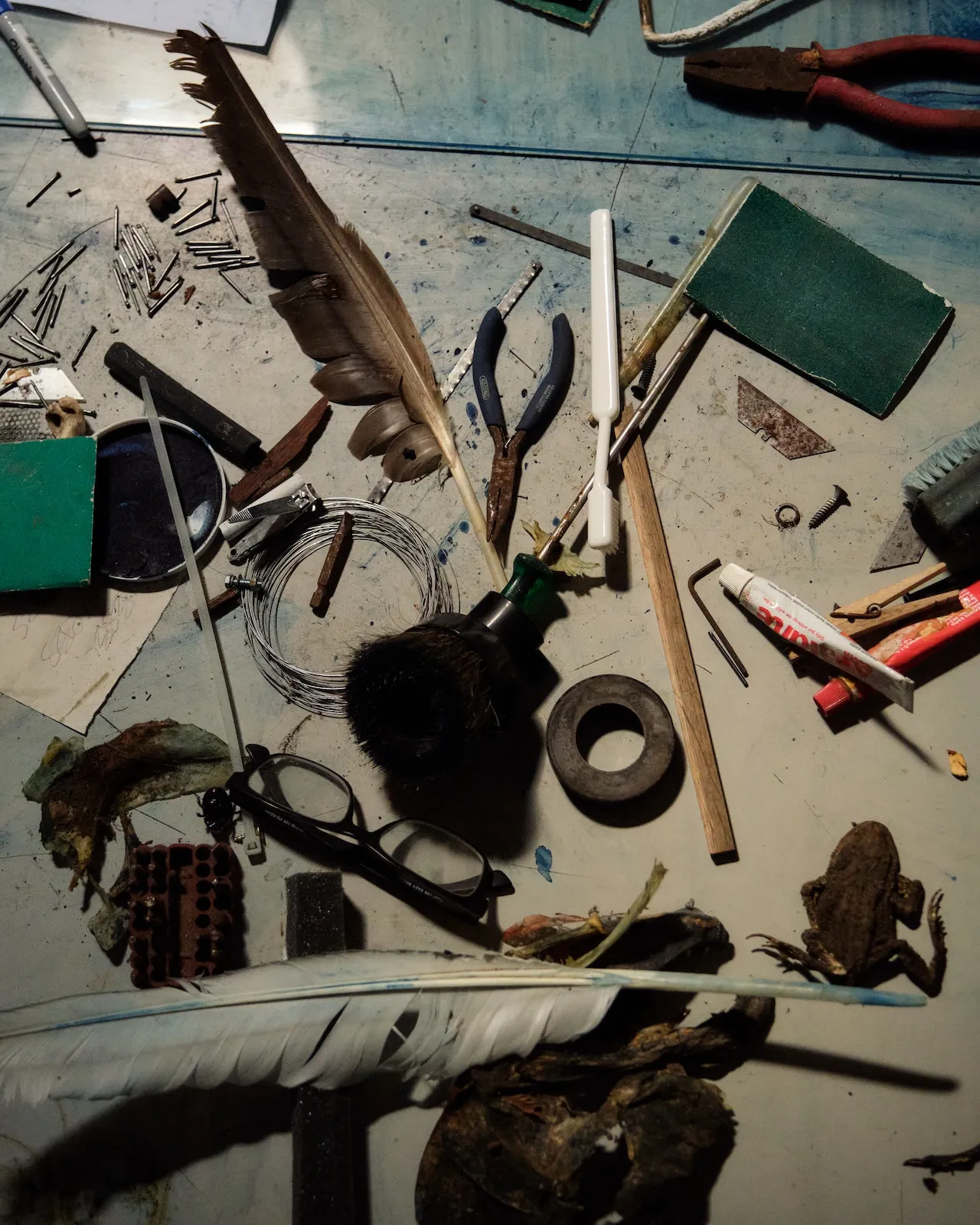 ‘I am more likely to eat something than I am to sketch it – that way you know what the bones are like.’